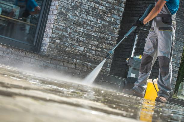 Best Driveway Cleaning and Restoration in Zion, IL